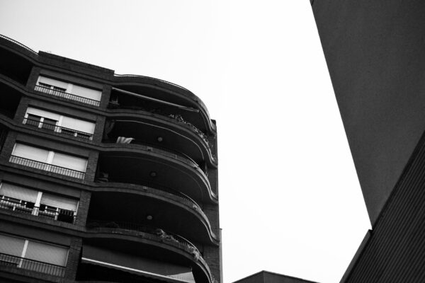 Photographie n°4